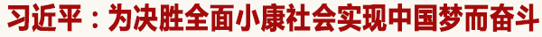 习近平在省部级主要领导干部“学习习近平总书记重要讲话精神，迎接党的十九大”专题研讨班开班式上发表重要讲话强调，高举中国特色社会主义伟大旗帜，为决胜全面小康社会实现中国梦而奋斗。